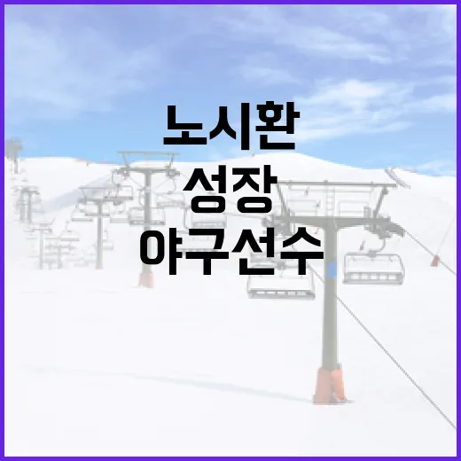 노시환을 통해 알아보는 야구 선수로 성장하는 방법 - 요약