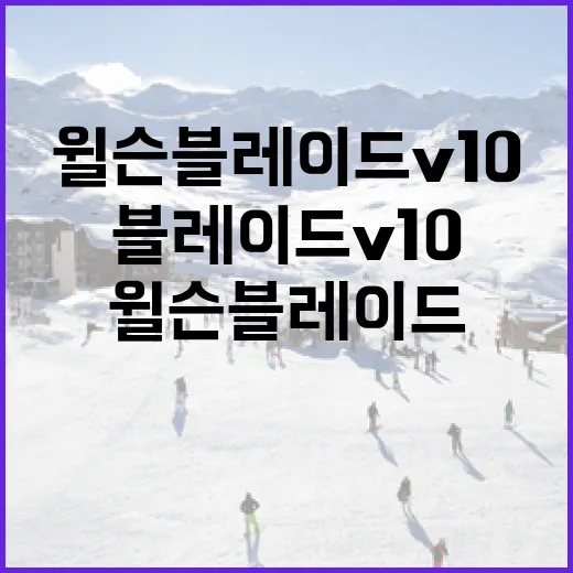 윌슨 블레이드 v10을 최대한 활용하는 방법 - 요약