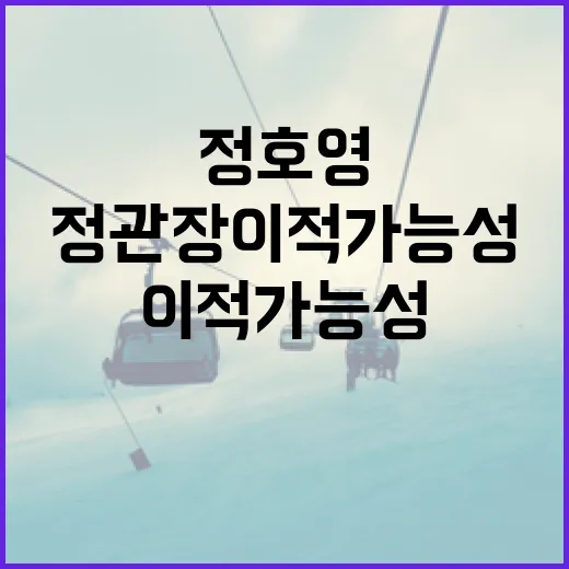 정호영의 정관장 이적 가능성 분석하기 - 요약