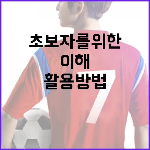 OGFC란? 초보자를 위한 원활한 이해와 활용 방법 - 요약