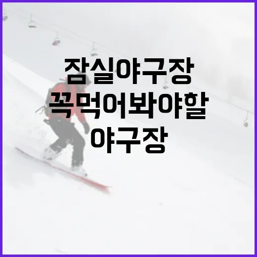 잠실야구장에서 꼭 먹어봐야 할 먹거리 가이드 - 요약