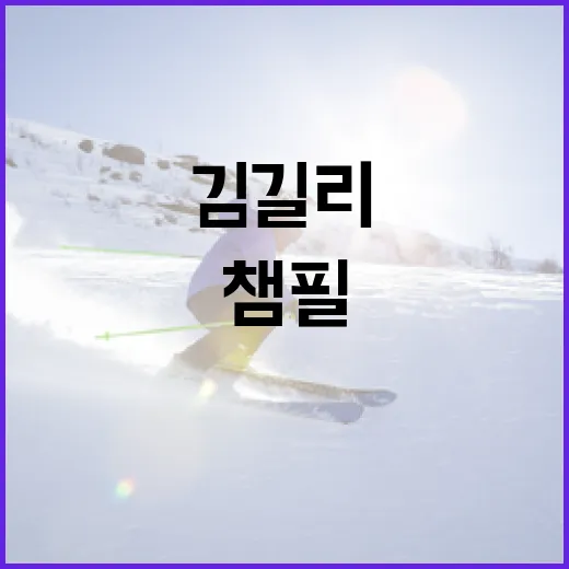 김길리와 함께 KIA 챔필 방문해 우승기원하는 방법 - 요약