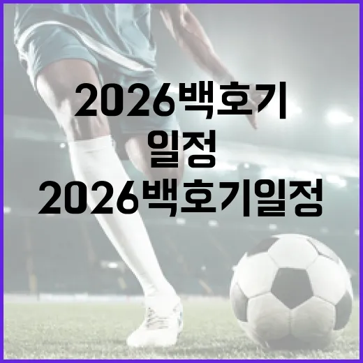 2026 백호기 일정 알아보는 방법 - 요약