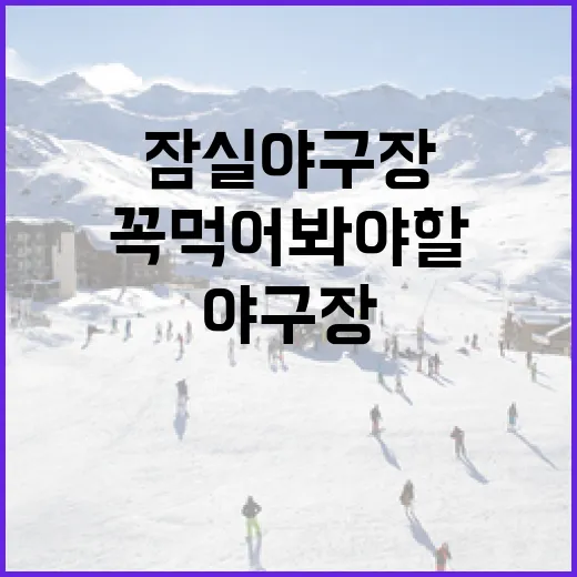 잠실야구장에서 꼭 먹어봐야 할 먹거리 - 요약