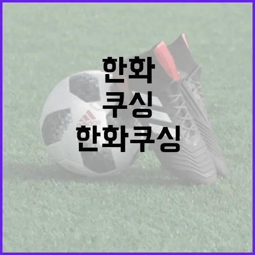 한화 쿠싱을 이해하고 관리하는 방법 - 요약