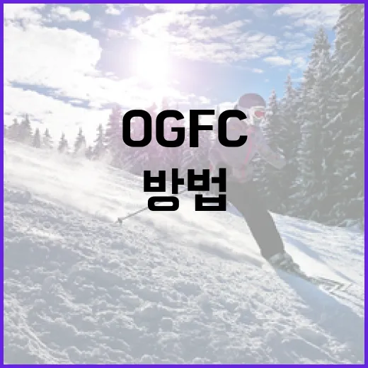 OGFC를 이해하고 활용하는 방법 - 요약