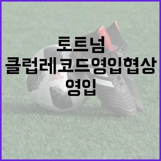 토트넘의 클럽 레코드 영입 협상에 성공하는 방법 - 요약
