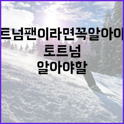 토트넘 팬이라면 꼭 알아야 할 정보 - 요약