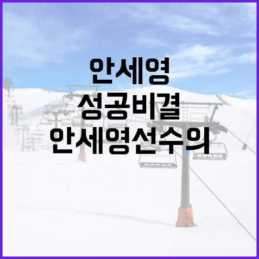 안세영 선수의 성공 비결을 배우는 방법 - 요약