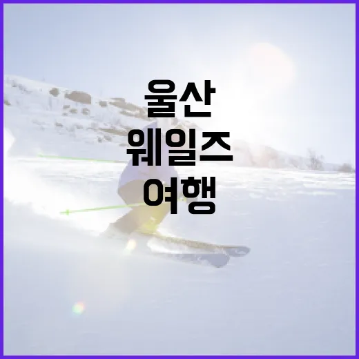 울산 웨일즈를 여행하는 방법: 필수 명소와 꿀팁 - 요약