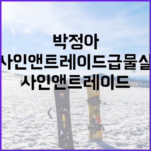 박정아의 사인 앤 트레이드 급물살 상황 이해하기 - 요약
