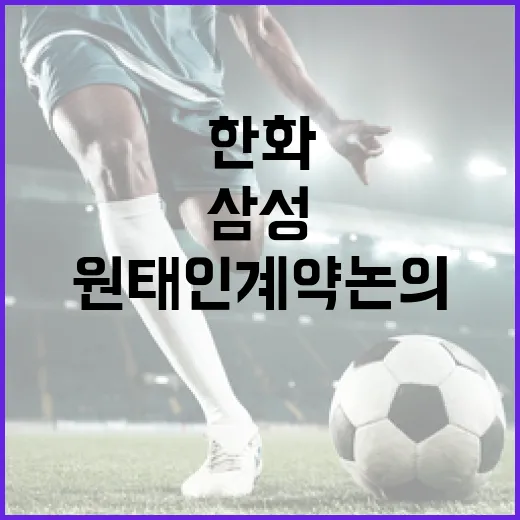 한화와 삼성의 원태인 계약 논의가 백지화된 이유와 앞으로의 방향 - 요약