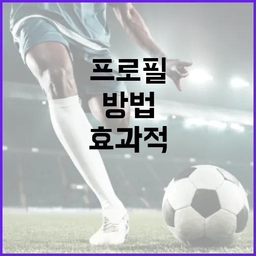 장찬희 프로필을 효과적으로 작성하는 방법 - 요약