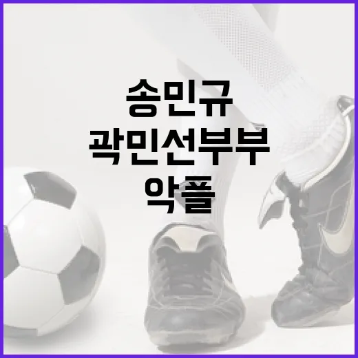 악플과 협박 피해를 극복하는 방법: 송민규와 곽민선 부부의 사례 - 요약