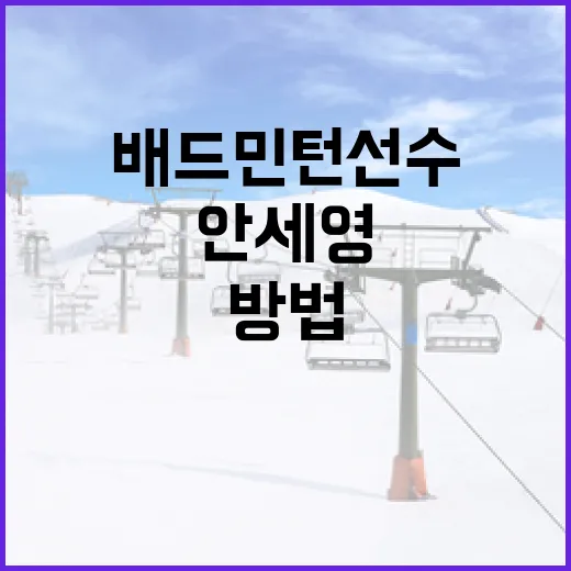 안세영 같은 배드민턴 선수가 되는 방법 - 요약