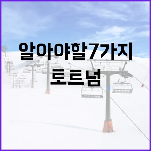 토트넘 팬이 알아야 할 7가지 팁 - 요약
