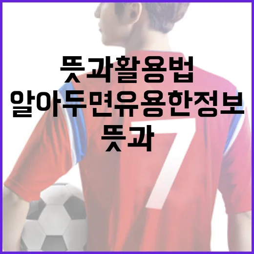 사사구 뜻과 활용법: 알아두면 유용한 정보! - 요약