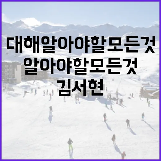 김서현에 대해 알아야 할 모든 것 - 요약