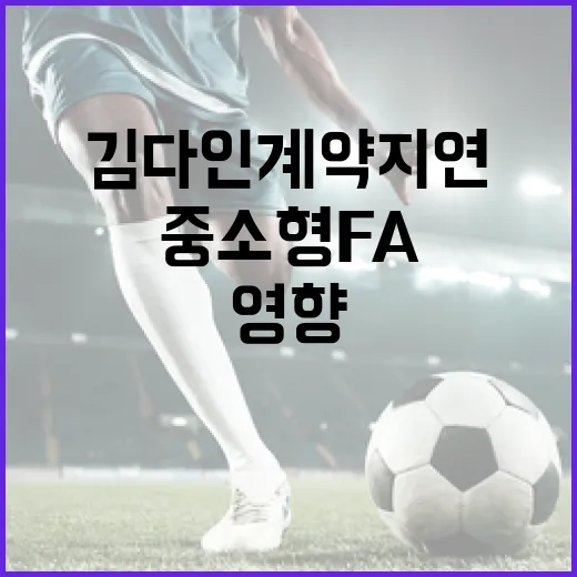 김다인 계약 지연이 중소형 FA에 미치는 영향 분석 - 요약
