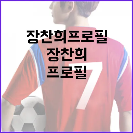 장찬희 프로필 완벽 정리하는 방법 - 요약