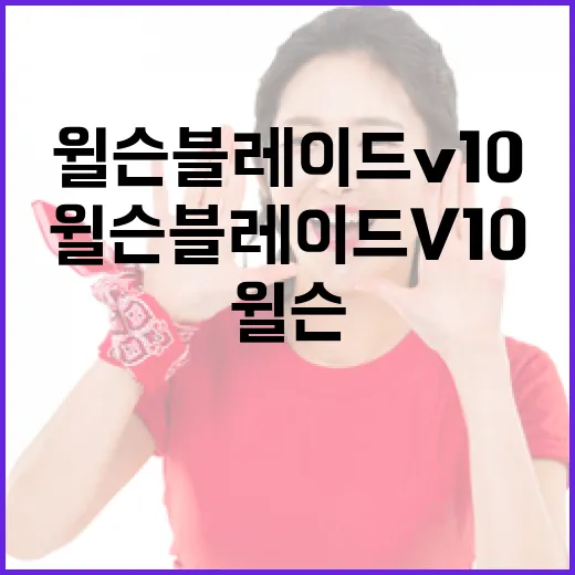윌슨 블레이드 V10을 완벽히 사용하는 방법 - 요약
