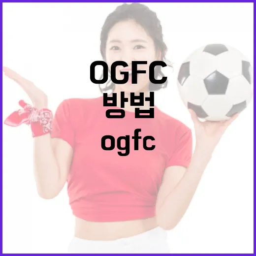 OGFC에 대해 알아보고 활용하는 방법 - 요약