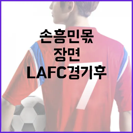 손흥민 몫 장면을 통해 보는 LAFC 경기 후 화제 분석법 - 요약