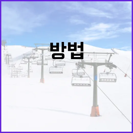 김도영과 김길리의 스포츠계 연대: 성공적인 협력 방법 - 요약