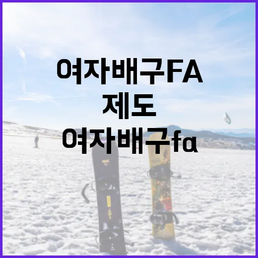 여자배구 FA 제도를 이해하고 활용하는 방법 - 요약
