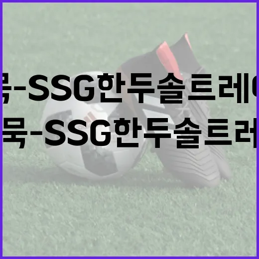 한화 황영묵-SSG 한두솔 트레이드 전망과 준비 방법 - 요약