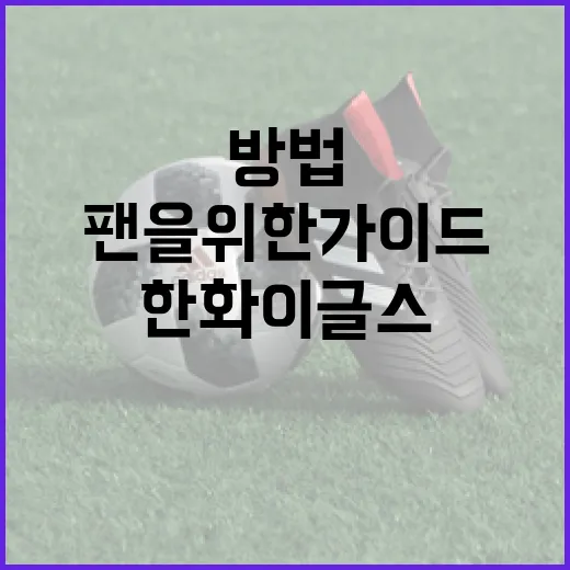 한화이글스를 응원하는 방법: 팬을 위한 가이드 - 요약