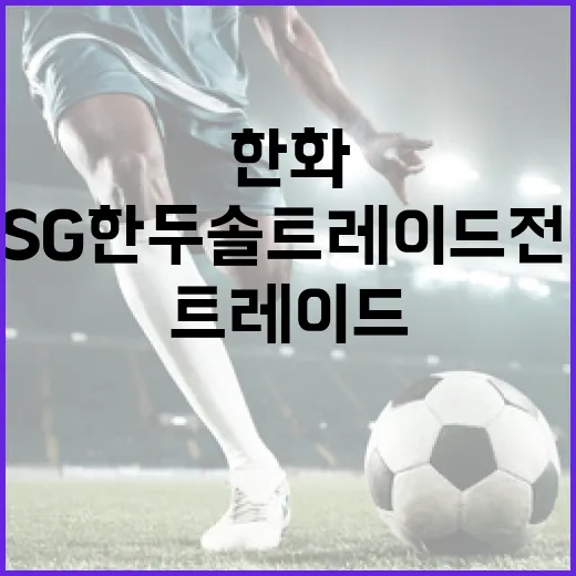 한화 황영묵와 SSG 한두솔 트레이드 전망 분석하기 - 요약