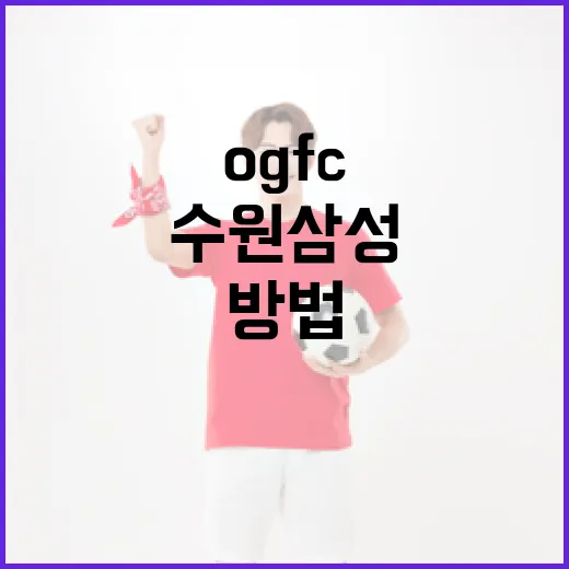 OGFC에서 수원삼성 즐기는 방법 - 요약
