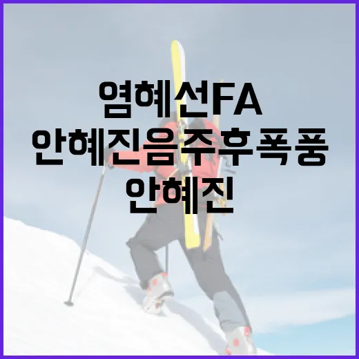 염혜선 FA와 안혜진 음주 후폭풍 이해하기 - 요약