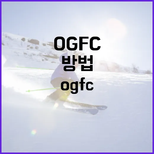OGFC를 이해하고 활용하는 방법 - 요약