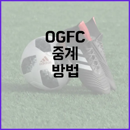 OGFC 중계를 효과적으로 활용하는 방법 - 요약