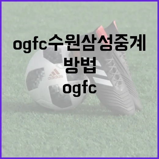 OGFC 수원삼성 …