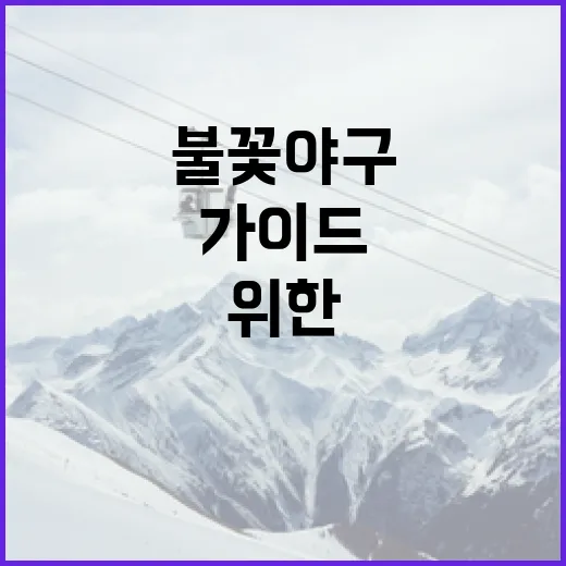 불꽃야구를 즐기는 방법: 초보자를 위한 가이드 - 요약