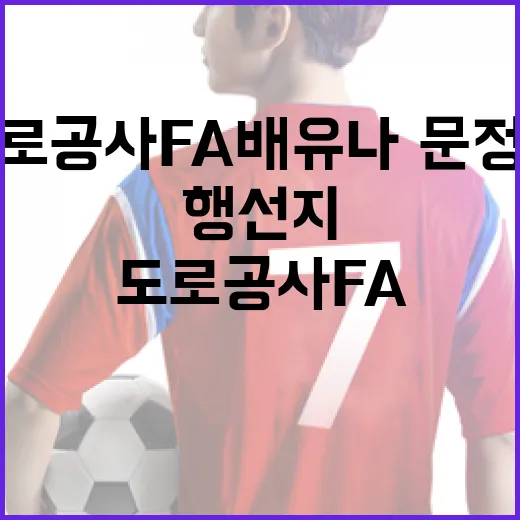 도로공사 FA 배유나·문정원 행선지 주목하는 방법 - 요약