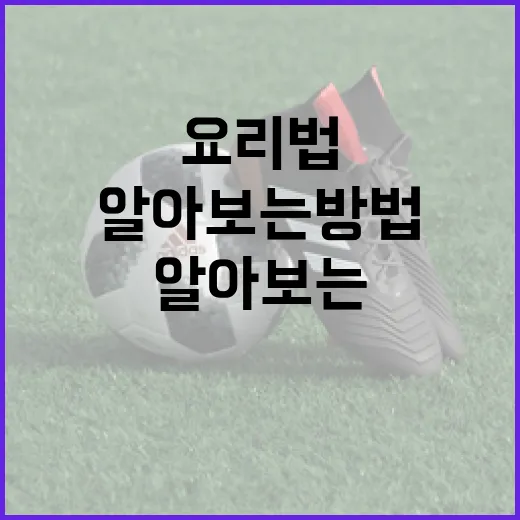 김이서를 활용한 맛있는 요리법을 알아보는 방법 - 요약