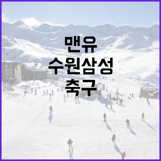 맨유와 수원삼성의 축구를 즐기는 방법 - 요약