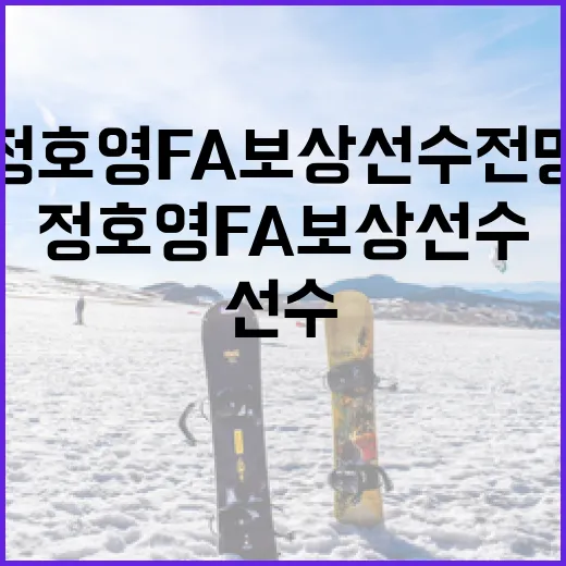 정호영 FA 보상선수 전망을 알아보는 방법 - 요약