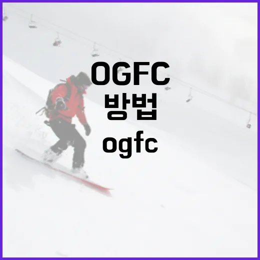 OGFC를 이해하고 활용하는 방법 - 요약