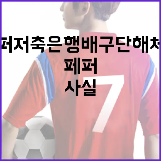 페퍼저축은행 배구단 해체설, 사실일까? 알아보는 방법 - 요약