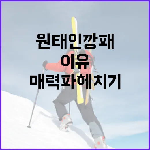 원태인 깡패로 불리는 이유와 그 매력 파헤치기 - 요약