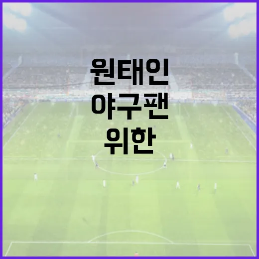 원태인 선수에 대해 알아야 할 모든 것: 야구 팬을 위한 가이드 - 요약