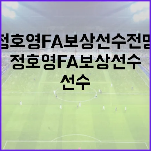 정호영 FA 보상선수 전망을 이해하는 방법 - 요약