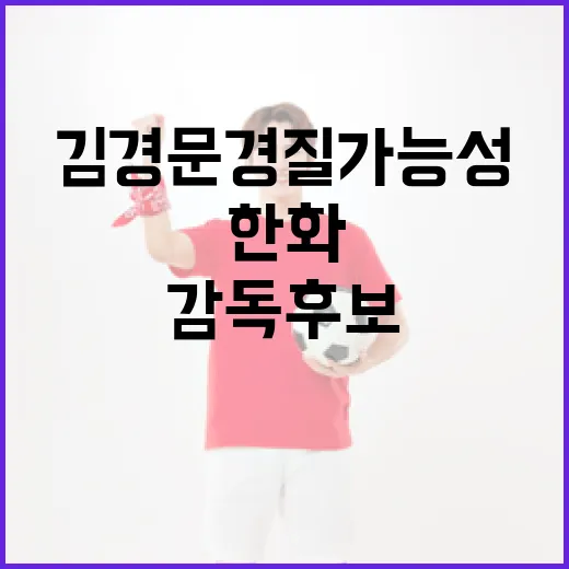 한화 감독 후보로 김경문 경질 가능성 파악하는 방법 - 요약