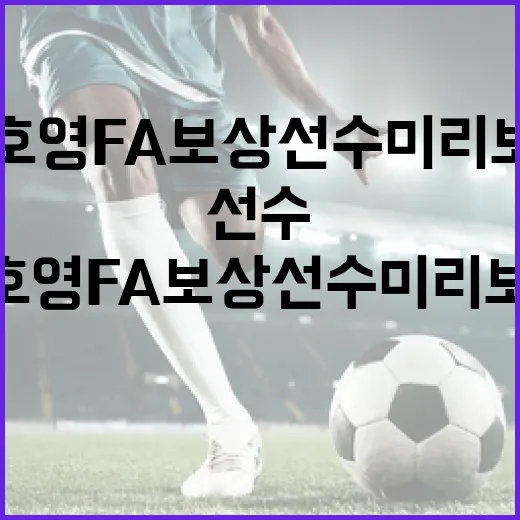 정호영 FA 보상선수 미리보기: 준비해야 할 사항 - 요약