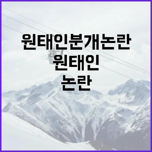 원태인 분개 논란을 이해하는 방법 - 요약